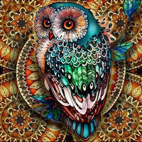 Colorful Owl Diamond Painting