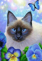 Siamese Cat Diamond Painting