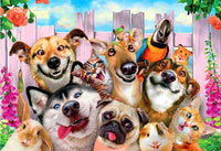 Silly Pets Diamond Painting